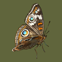 Flying Common Buckeye Butterfly Classic Tee | Teevron