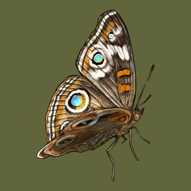 Flying Common Buckeye Butterfly Classic Tee by LillyAllenDesigns | Teevron