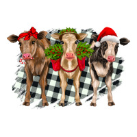 Christmas heifers front view | Teevron