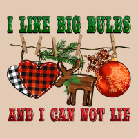 I Like Big Bulbs And I Can Not Lie Urban Hoodie | Teevron