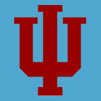 Indiana Hoosiers Premium Hoodie | Teevron