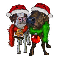 two christmas heifers | Teevron