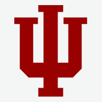 Indiana Hoosiers Urban Heavy Tee | Teevron