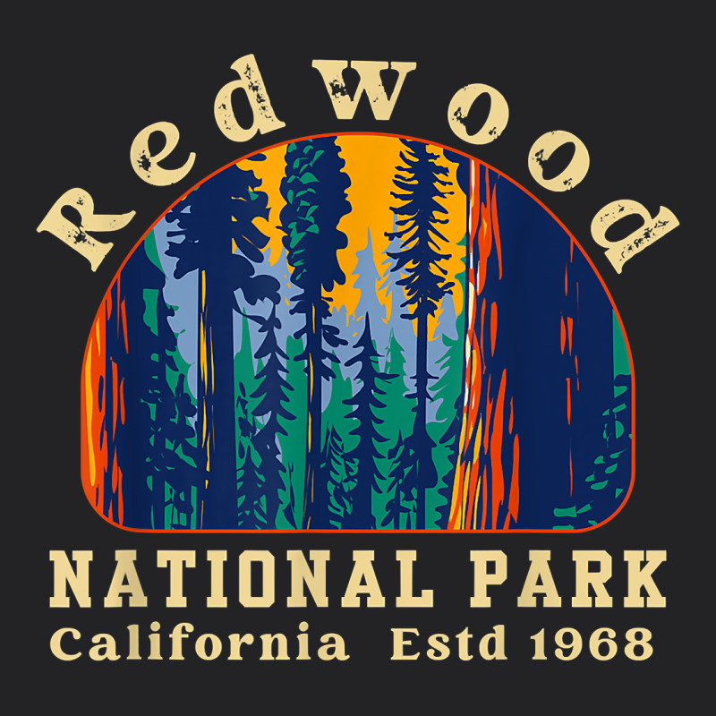 Redwood National Park California Retro Vintage Cam Vintage Tee by DesignPulse | Teevron