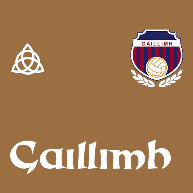 Galway Gaillimh Irish Gaelic Football And Hurling Premium Vintage Tee by DesignPulse | Teevron
