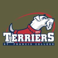 St. Francis Terriers(sfc), Brooklyn Vintage Tee | Teevron