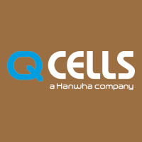 Mesmerizing Q Cells Vintage Tee | Teevron