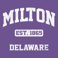 Milton Delaware De Vintage State Athletic Style T Shirt Vintage Tee | Teevron