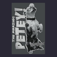 Little Rascals, Amazing Petey Vintage Tee | Teevron