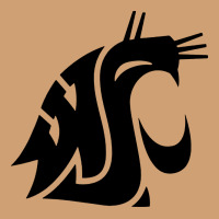 Washington State Cougars Football Vintage Tee | Teevron