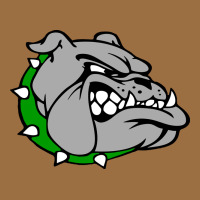 Ashville High School, Ashville Bulldogs Vintage Tee | Teevron