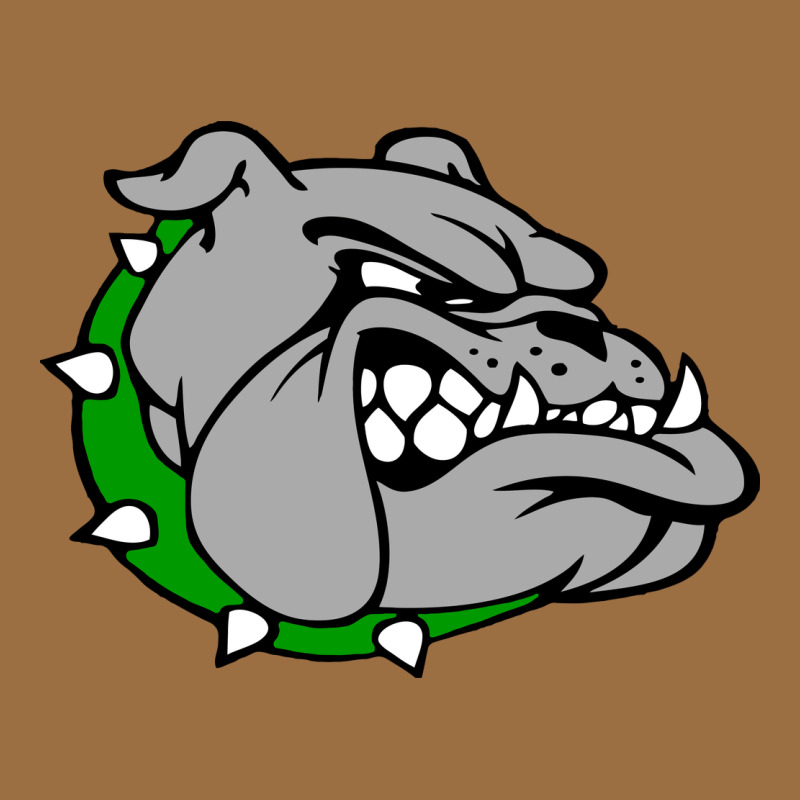 Ashville High School, Ashville Bulldogs Vintage Tee by PixelFlow | Teevron