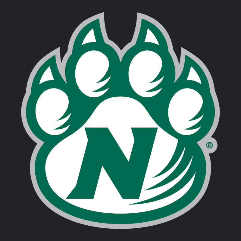 Northwest Missouri State Bearcats Vintage Tee by FloraArt | Teevron