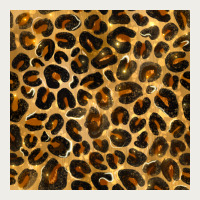 Leopard Seamless Pattern Zipper Hoodie | Teevron