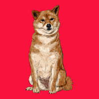 Shiba Inu Classic Tee | Teevron