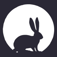 Bunny And Full Moon Funny Vintage Tee | Teevron