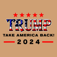 Donald Trump 2024 Take America Back Election Vintage Tee | Teevron