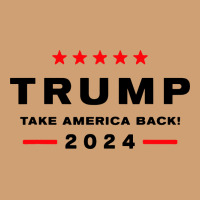 Donald Trump 2024 Take America Vintage Tee | Teevron