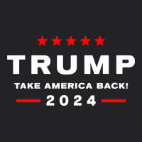 Donald Trump 2024 Take America Vintage Tee | Teevron