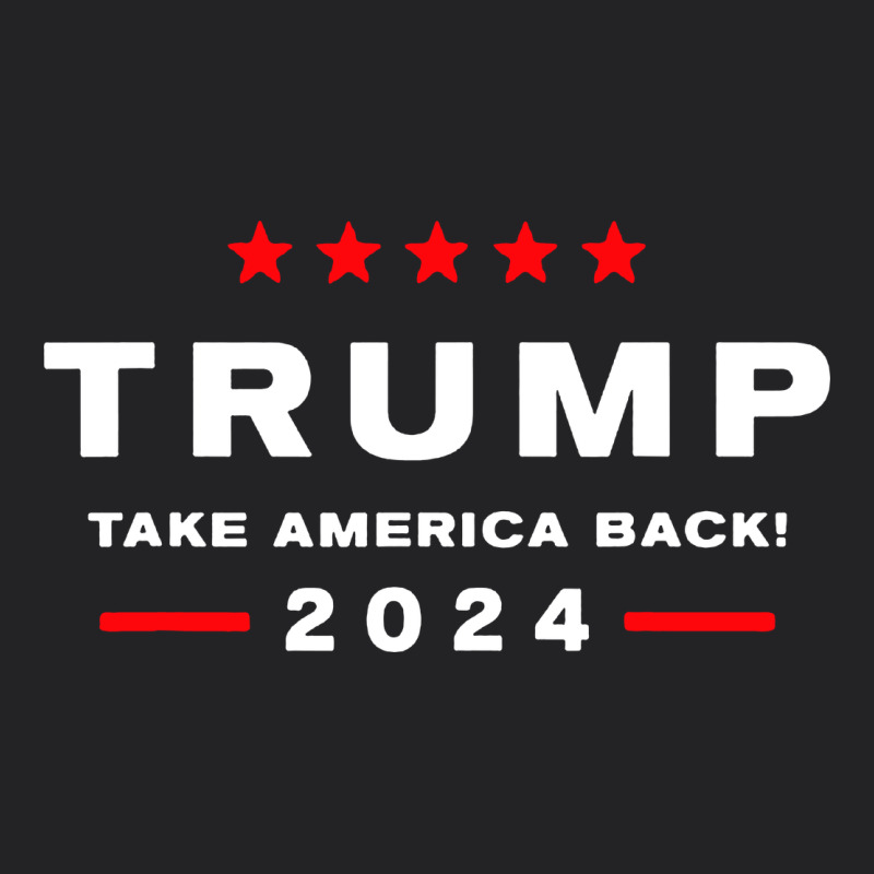 Donald Trump 2024 Take America Vintage Tee by artisFamous | Teevron