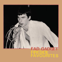 Fad Gadget Fireside Favourites Vintage Tee | Teevron