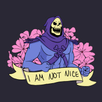 Vintage Skeletor ı Am Not Nice Vintage Tee | Teevron