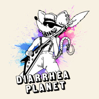 Diarrhea Planet Musician Vintage Tee | Teevron