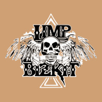 Limp Bizkit Essential Vintage Tee | Teevron