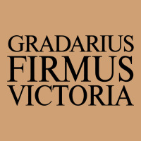 Gradarius Firmus Victoria Vintage Tee | Teevron