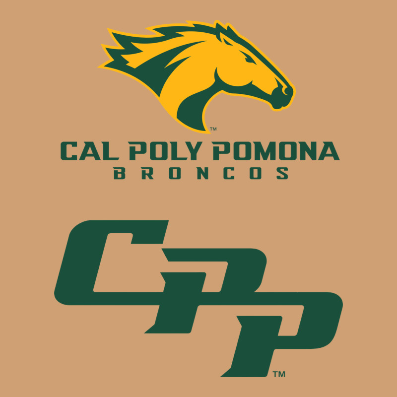 Cal Pol Pomona Vintage Tee by artisFamous | Teevron