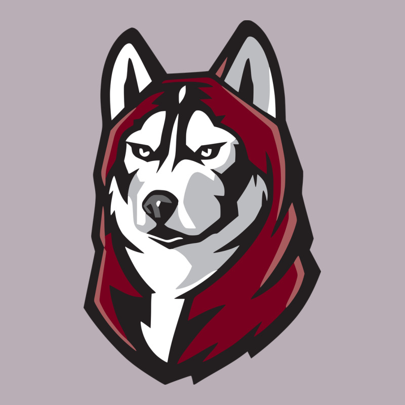 Bloomsburg Huskies Vintage Tee by artisFamous | Teevron