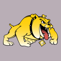 Bowie State Bulldogs Vintage Tee | Teevron