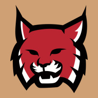 Rhodes College Athletic Vintage Tee | Teevron