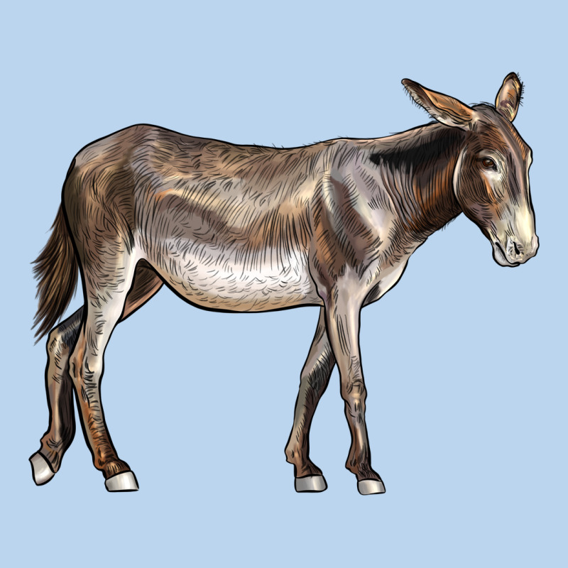 American Mammoth Jackstock Donkey Classic Tee by LillyAllenDesigns | Teevron