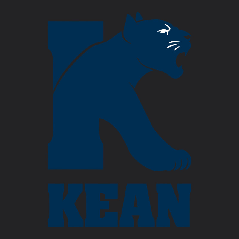Kean University Vintage Tee by artisFamous | Teevron
