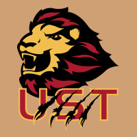 University Of Saint Thomas Spirit Vintage Tee | Teevron