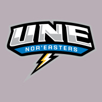 New England University Vintage Tee | Teevron