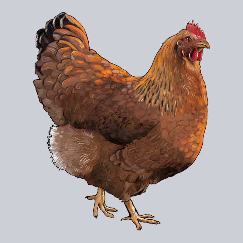 New Hampshire Red Chicken Classic Tee by LillyAllenDesigns | Teevron