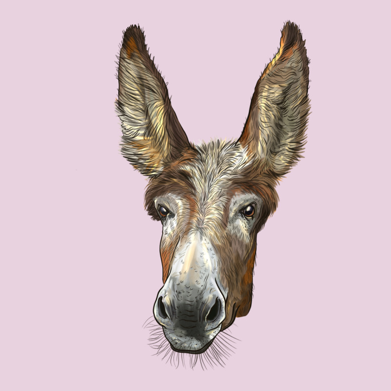 American Mammoth Jackstock Donkey  Face Classic Tee by LillyAllenDesigns | Teevron