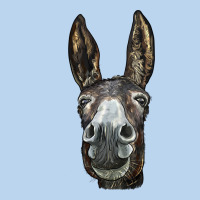 Donkey  Face Classic Tee | Teevron