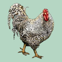 Dominique Rooster Classic Tee | Teevron