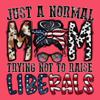 Just A Regular Mom Trying Not To Raise Liberals Premium Sweatshirt | Teevron