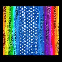 Lgbtq+ Pride American Flag Tumbler Ladies Tee | Teevron