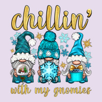 Chillin' With My Gnomies Premium Hoodie | Teevron
