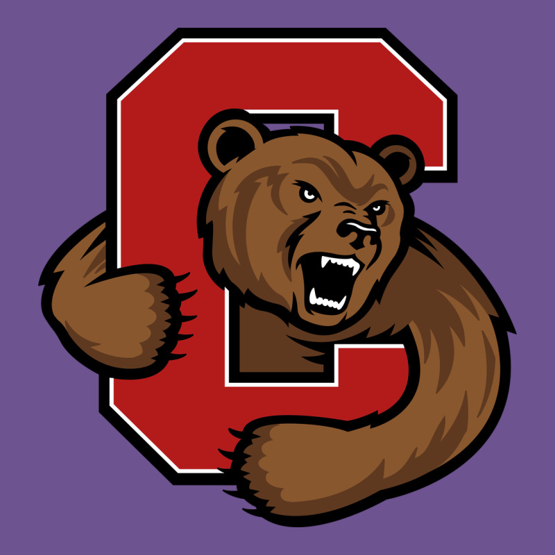 The Cornell Big Red Vintage Tee by linhVisuals | Teevron