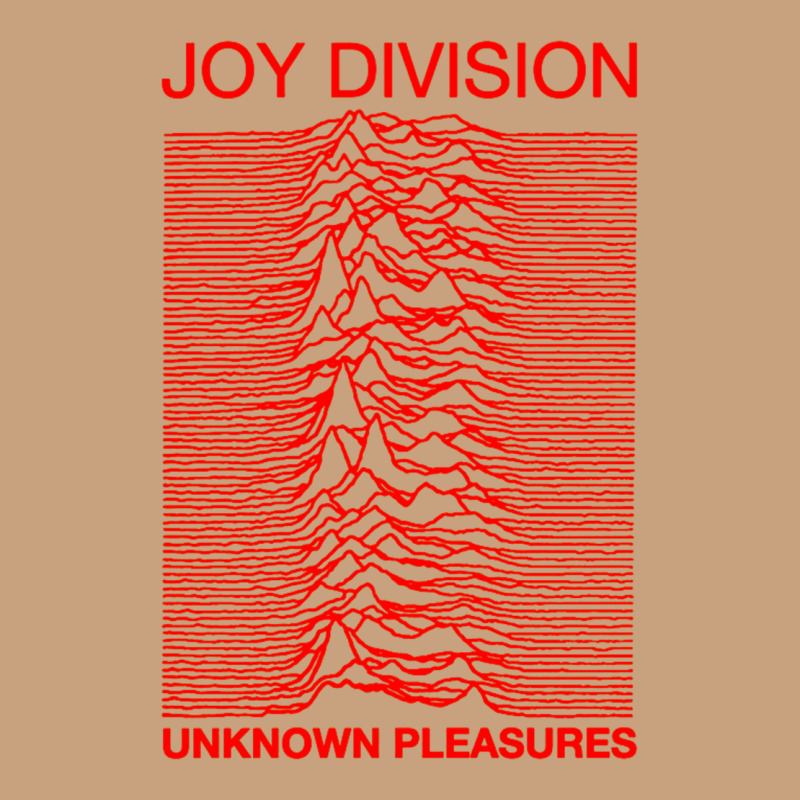 Joy Division Vintage Tee by linhVisuals | Teevron