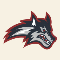 Stony Brook Seawolves Vintage Tee | Teevron