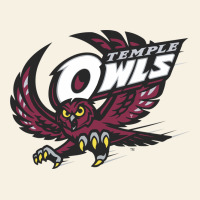 Temple Owls Vintage Tee | Teevron