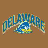 Delaware Sportss Vintage Tee | Teevron