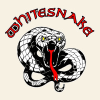 Whitesnake Ws Vintage Tee | Teevron